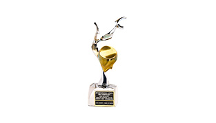 Untitled-2_0000_new-Logo_0011_Gouden-award_0000_Layer-2.jpg